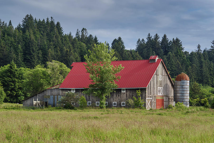 Barn in Color Photograph by Greg Nyquist