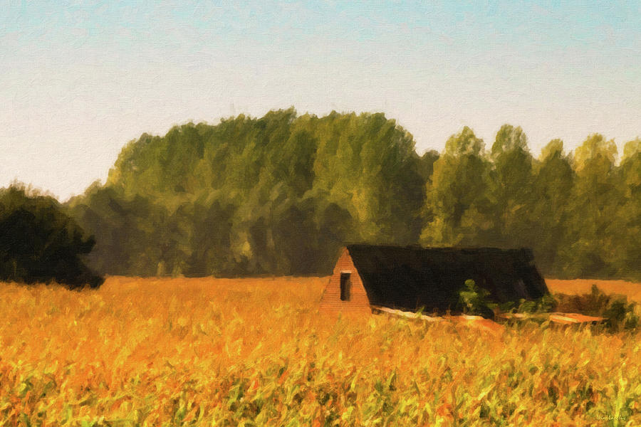 Barn in Corn Field Digital Art by Wim Lanclus