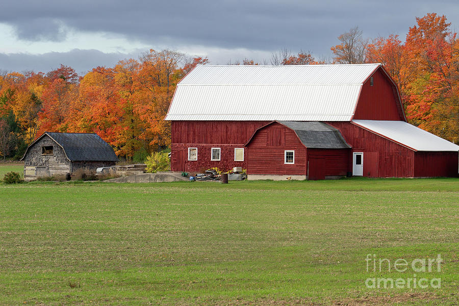 Barn in Door County Photograph by Roxie Crouch
