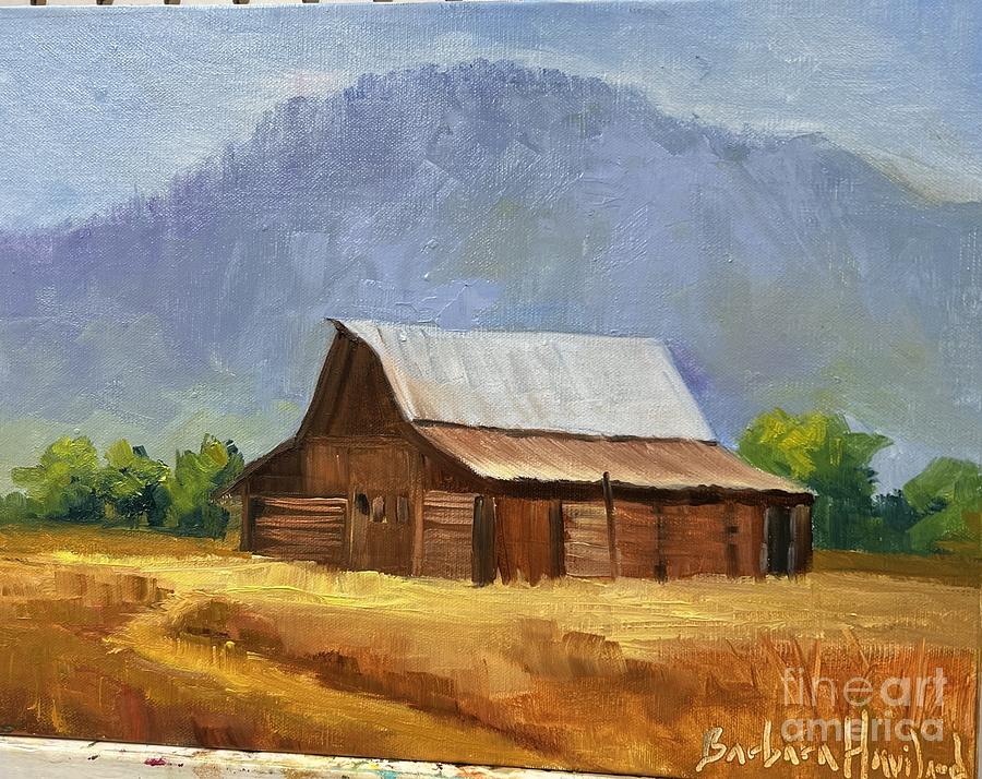 Barn in Mountains Painting by Barbara Haviland