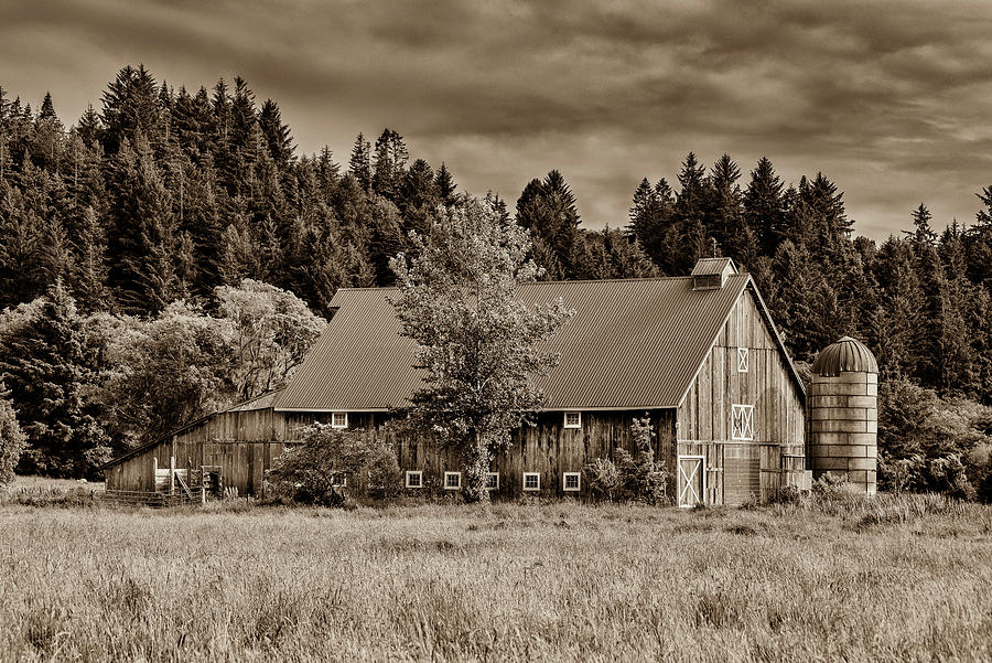 Barn in Sepia Photograph by Greg Nyquist