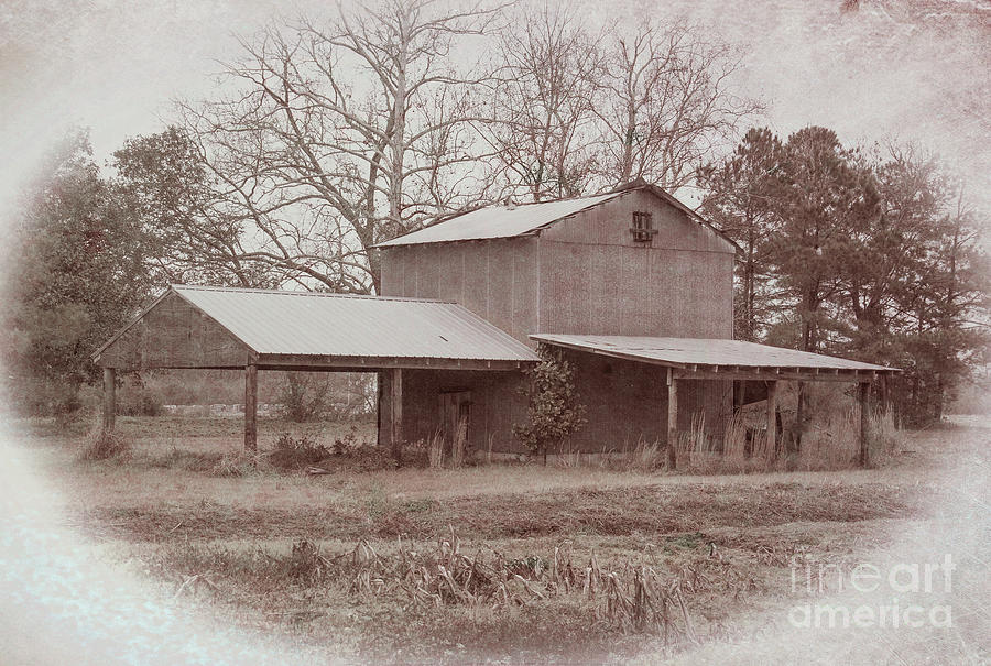 Barn in Sepia Photograph by Michelle Tinger
