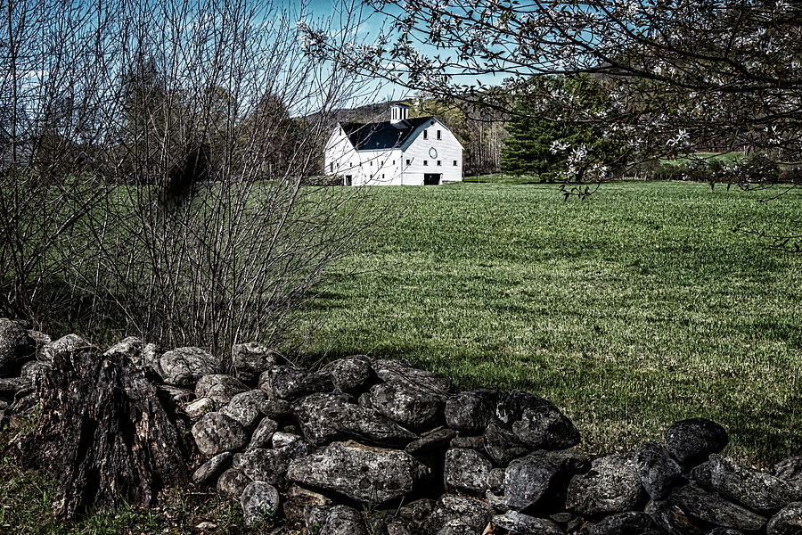 Barn In Spring Photograph by Tom Singleton