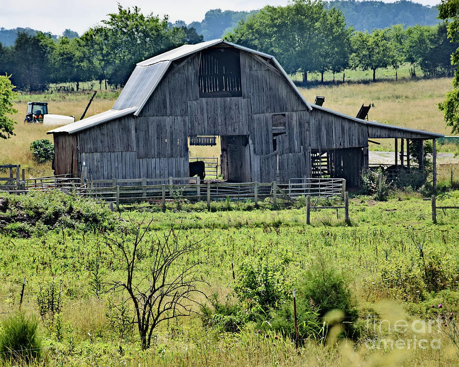 Barn In Tennessee Photograph by Kathy M Krause