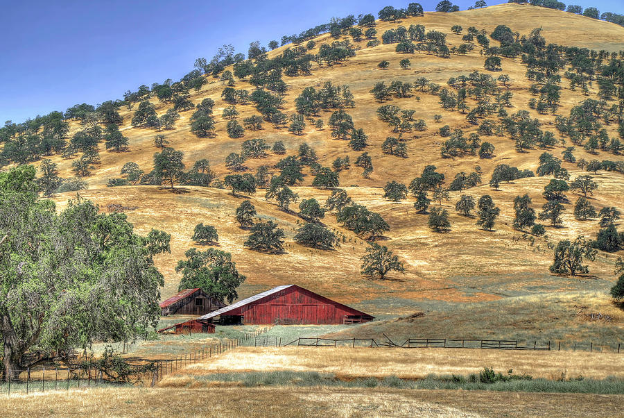 Barn in the California Hills Photograph by Donna Kennedy