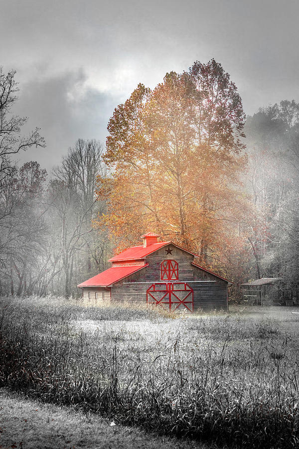 Barn in the Fall Fog Black and White and Reds Photograph by Debra and Dave Vanderlaan