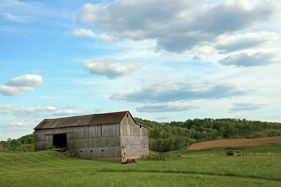 Barn in the Field Photograph by Angela Murdock