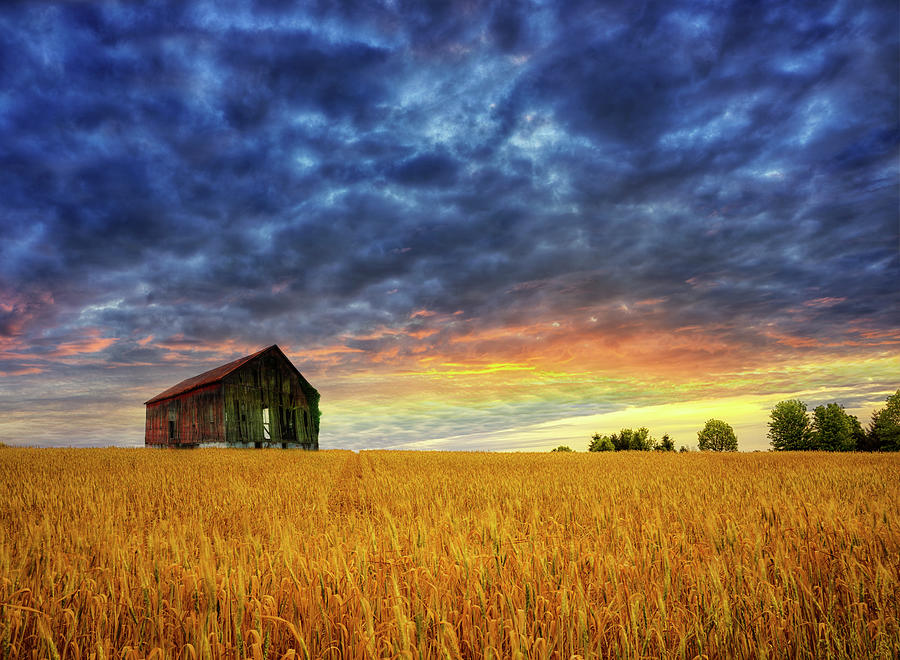 Barn in the Field Photograph by Larry Helms | Fine Art America