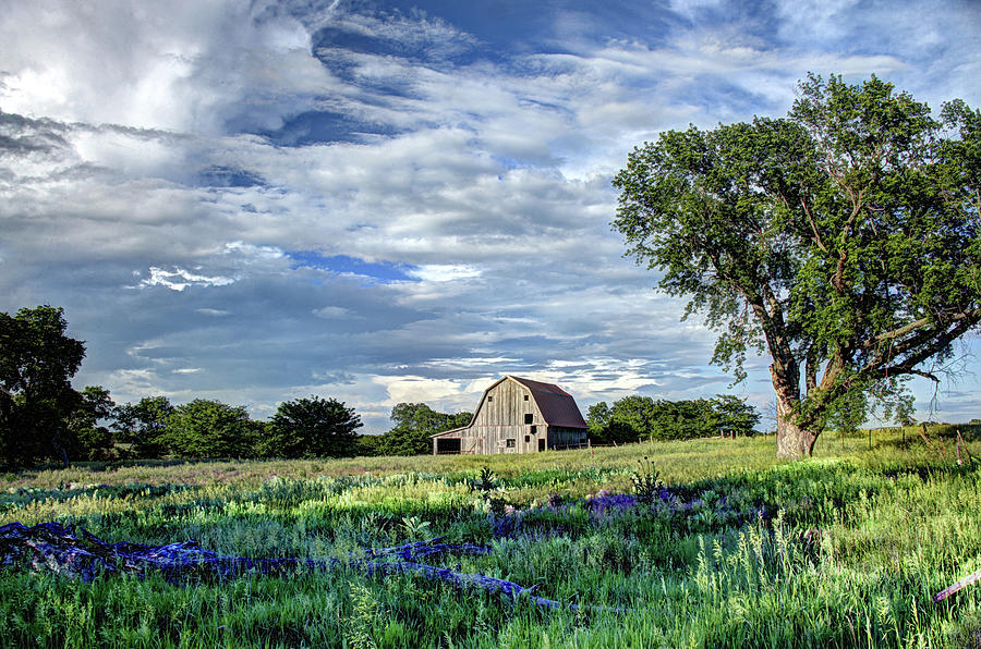 Barn in the Meadow Photograph by Jean Hutchison