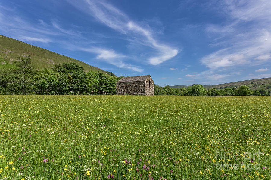 Barn In The Meadows, Muker, Swaledale Photograph by Tom Holmes Photography