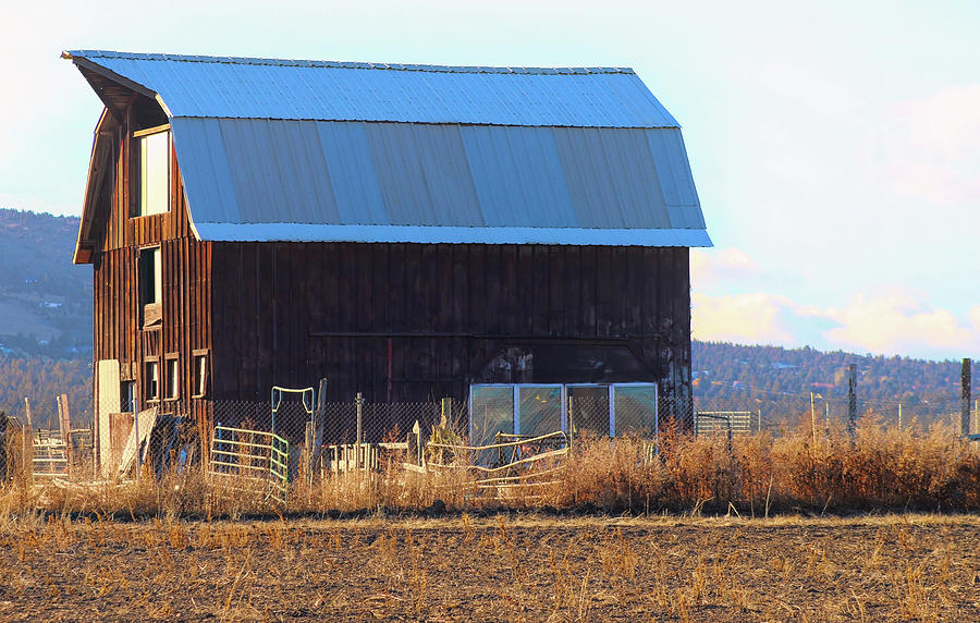 Barn in the Northern Cascades Photograph by Cathy Anderson