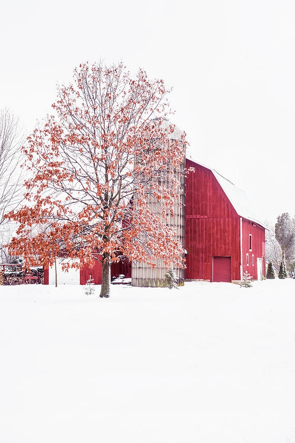 Barn in the Snow Photograph by Andrew Soundarajan