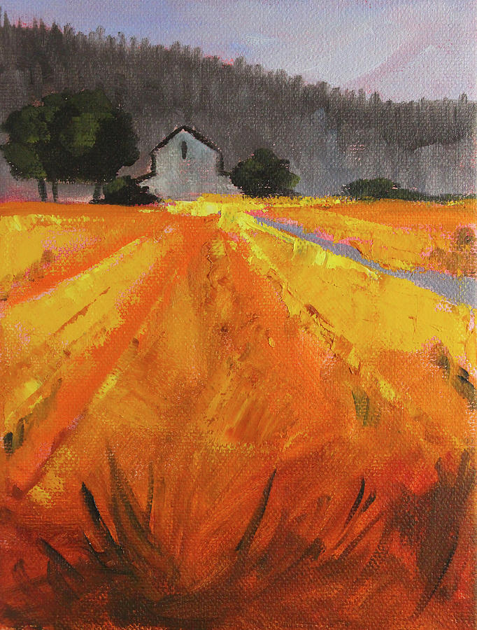 Barn in the Valley Painting by Nancy Merkle