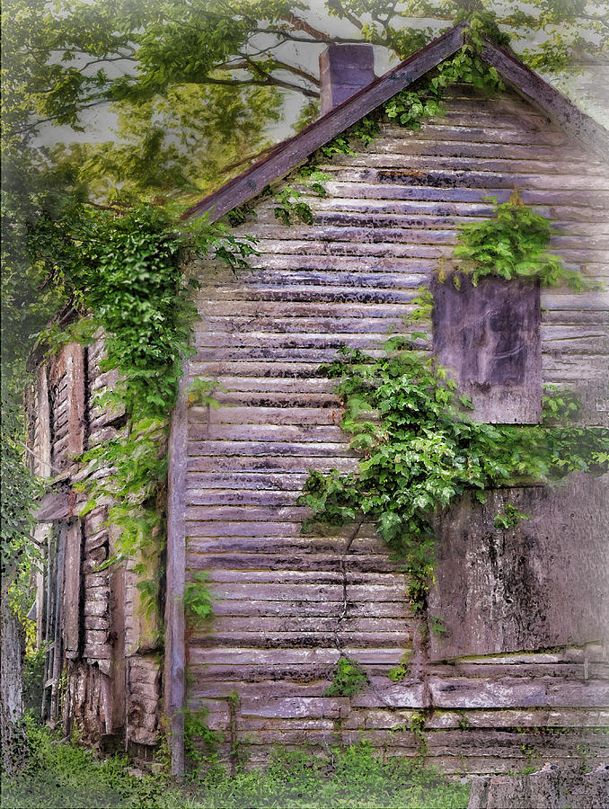 Old wooden house in West Virgina Digital Art by Cordia Murphy