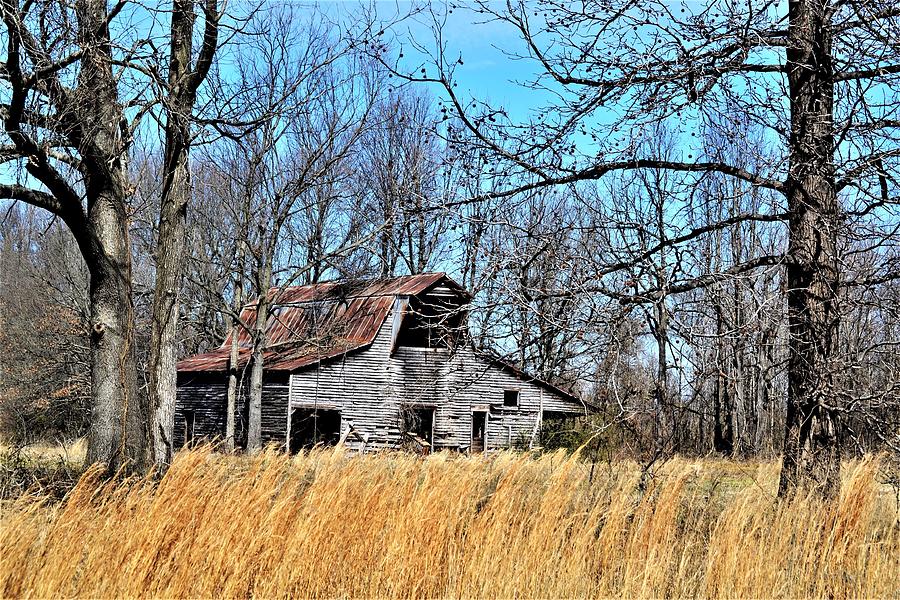 Barn in Woods Photograph by Rob Samons