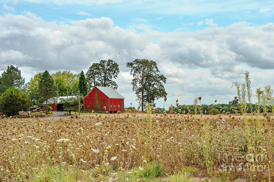 Barn - North Plains - Oregon Photograph by Beautiful Oregon