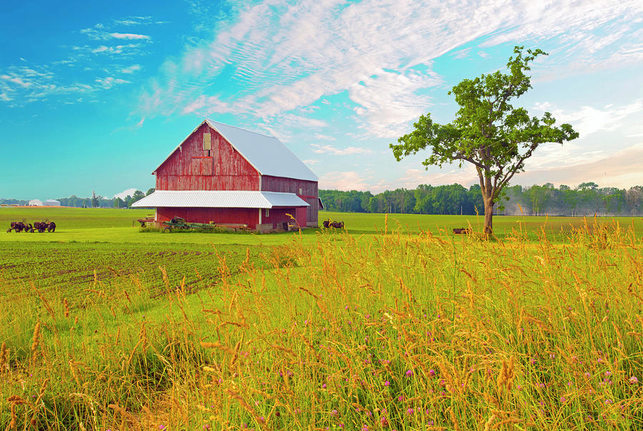 Barn-Old Barn with wild flowers-Tipton County Indidna Photograph by ...