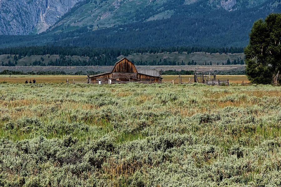 Barn On Prairie Photograph by Tom Singleton
