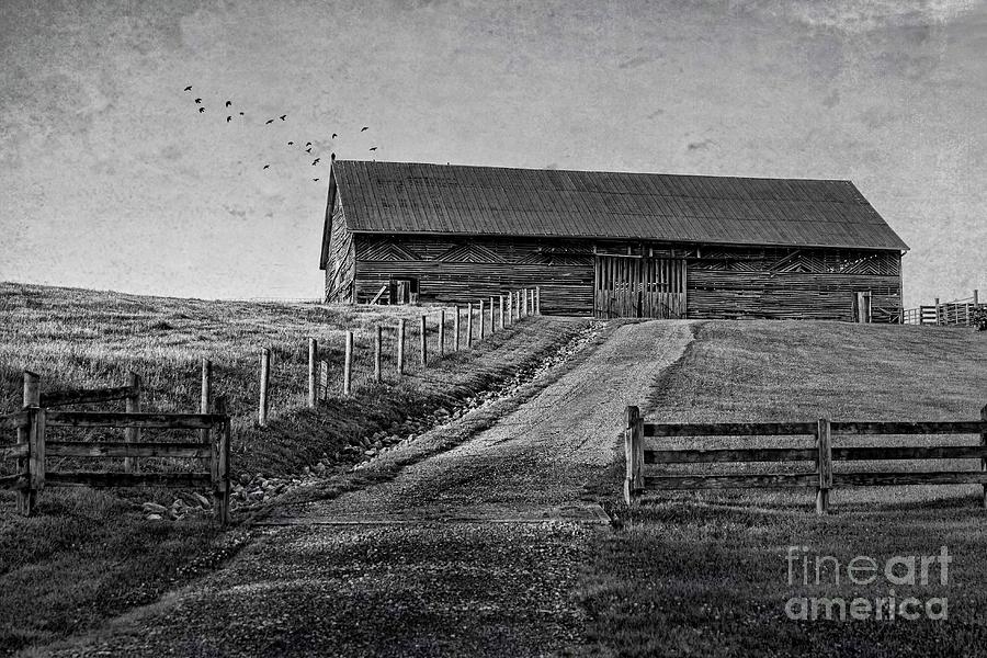 Barn on the Hill Photograph by Laurinda Bowling