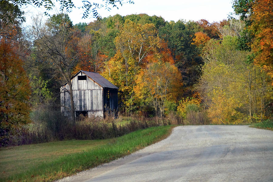 Barn on the Roadside Photograph by Mike Murdock