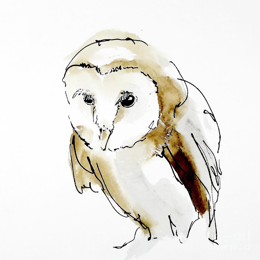 Barn Owl 1 Painting by Chris Paschke