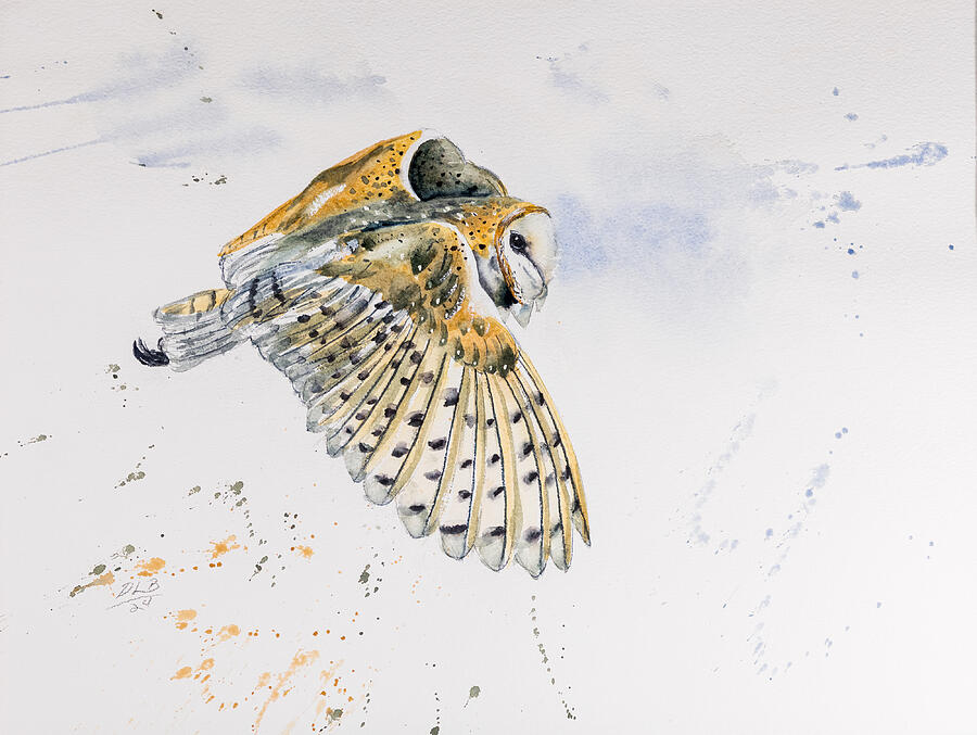 Bird Painting - Barn Owl #5410 by Daniel Lee Brown