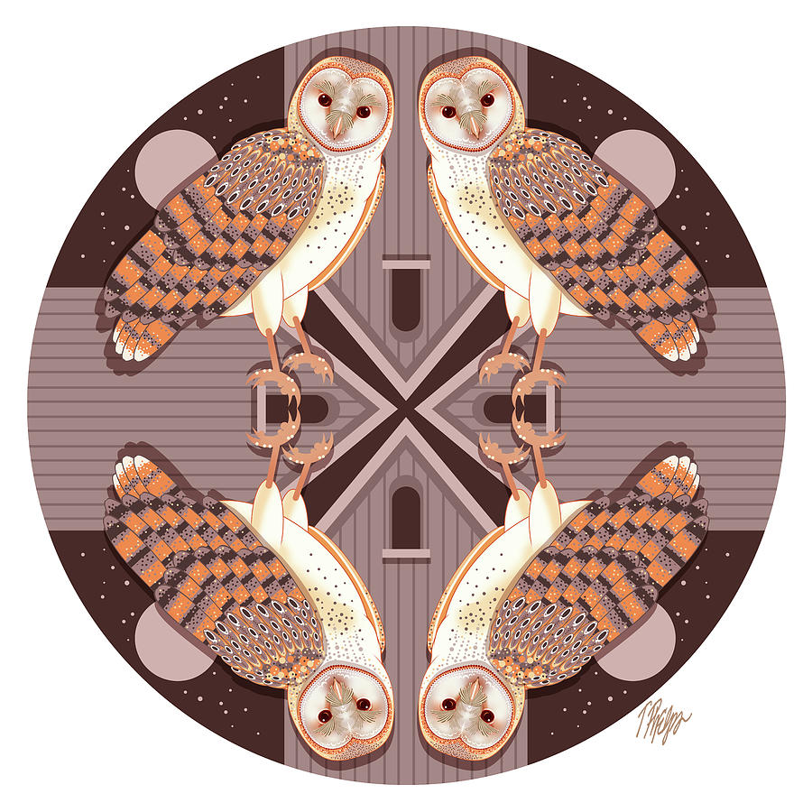 Barn Owl Barn Mandala Digital Art by Tim Phelps