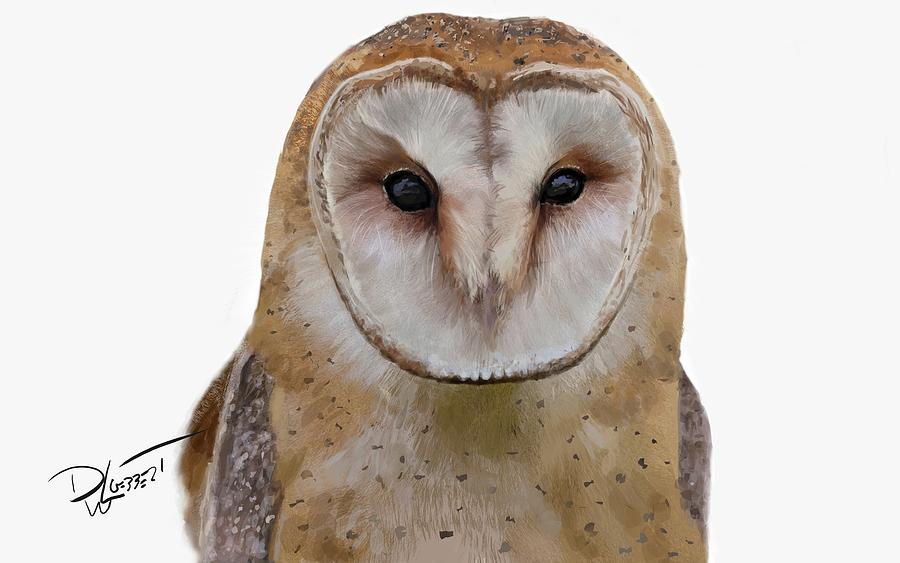 Barn Owl Video Painting Digital Art by David Luebbert