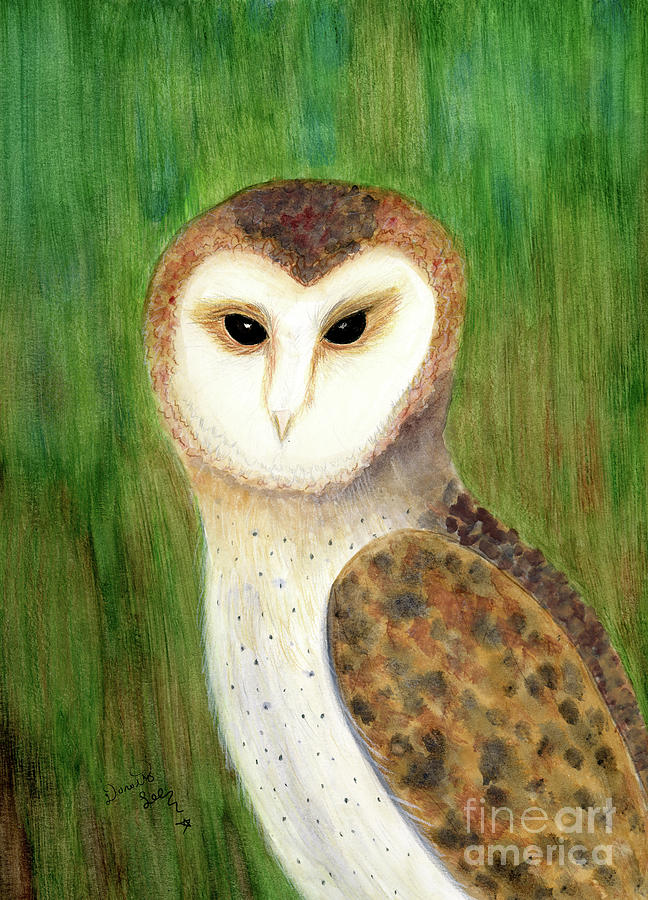 Barn Owl Painting by Dorothy Lee