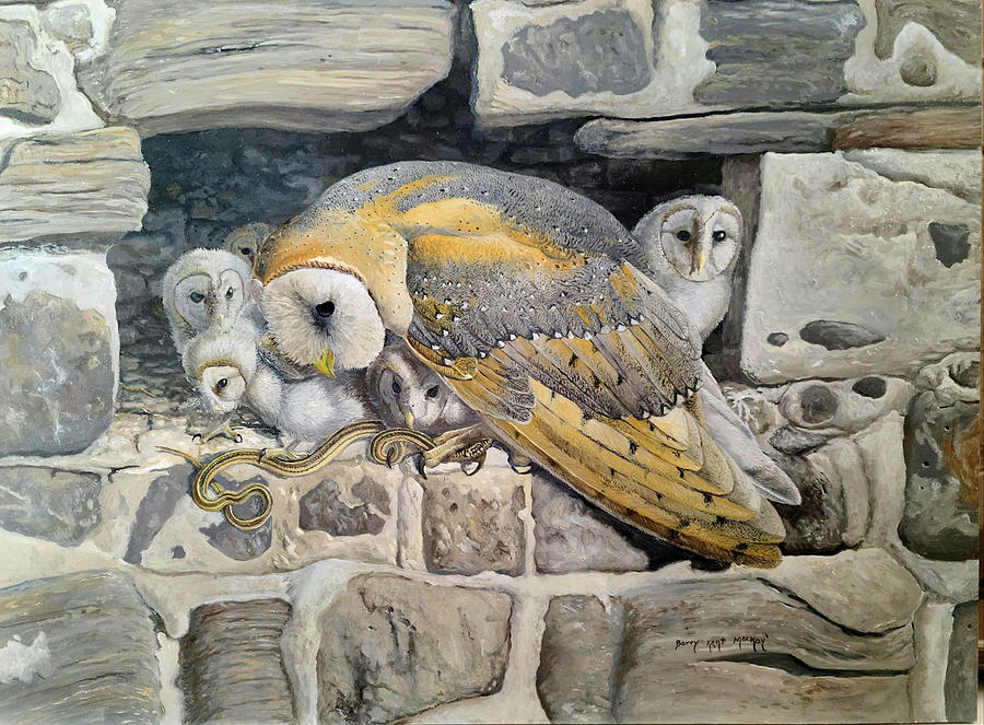 Barn Owl Family Painting by Barry Kent MacKay