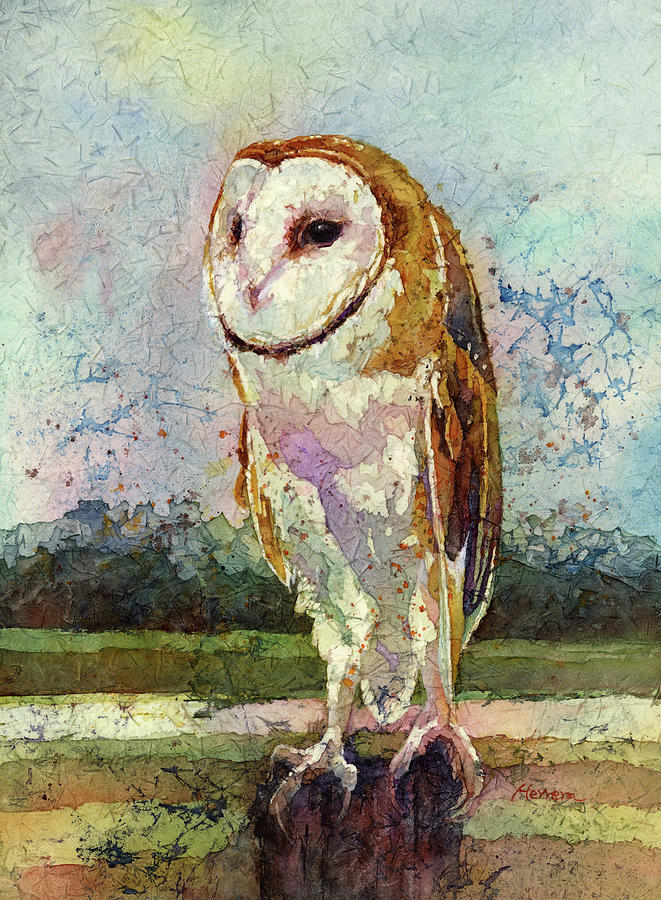 Owl Painting - Barn Owl by Hailey E Herrera