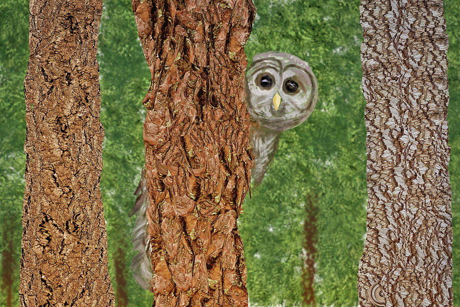 Barn Owl Hiding Painting by Kieran Gallagher - Fine Art America
