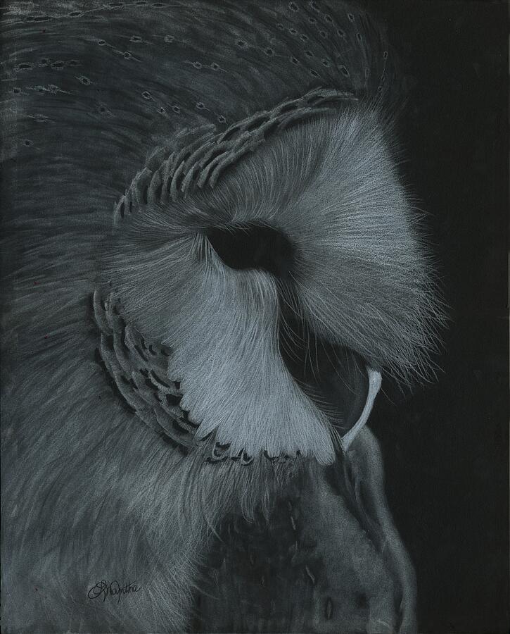 Barn Owl Pastel by Laurie Mantha - Fine Art America