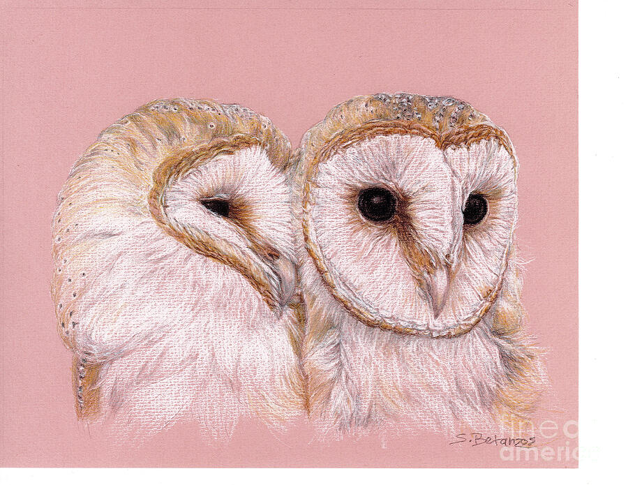 Barn Owl Painting - Barn Owl Love by Sue Betanzos Barn Owl Painting - Barn Owl Love by Sue Betanzos