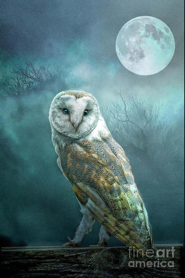 Barn Owl Moon Digital Art by Brian Tarr
