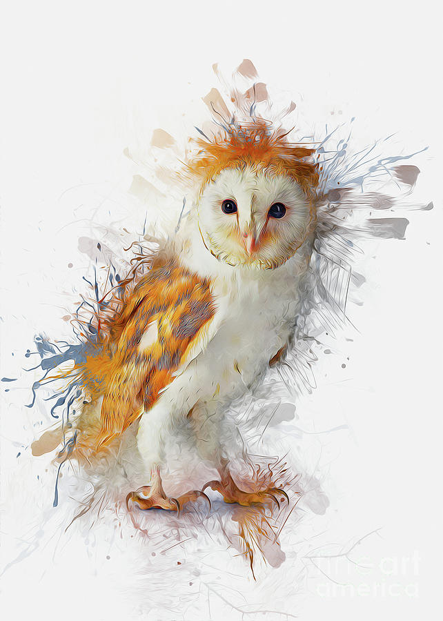 Nature Digital Art - Barn Owl Painting by Ian Mitchell
