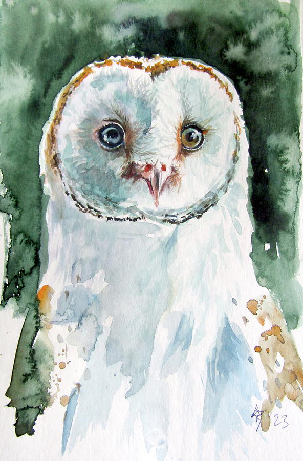 Barn owl portrait Painting by Kovacs Anna Brigitta - Fine Art America