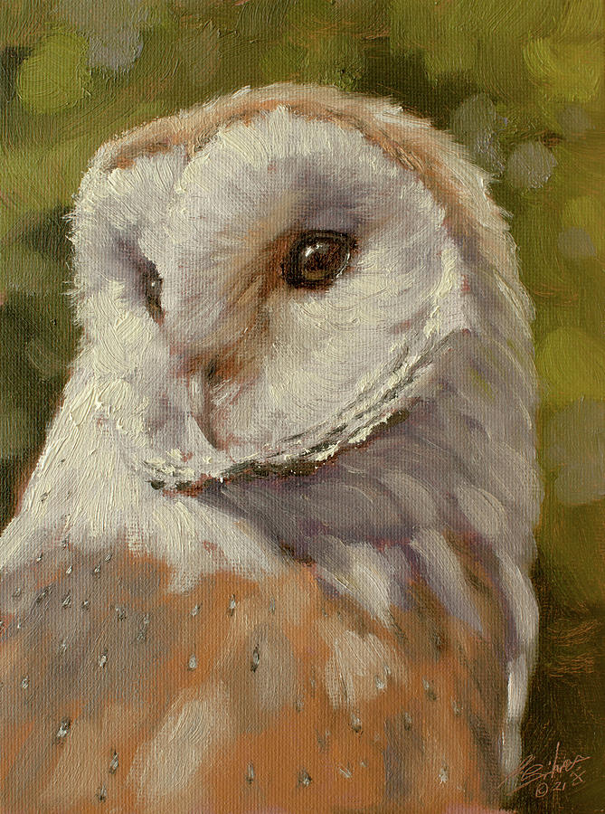 Owl Painting - Barn Owl Portrait W673 by John Silver