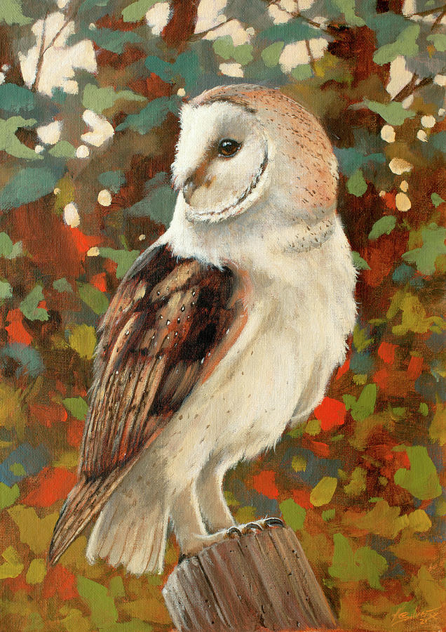 Owl Painting - Barn Owl Portrait W722 by John Silver