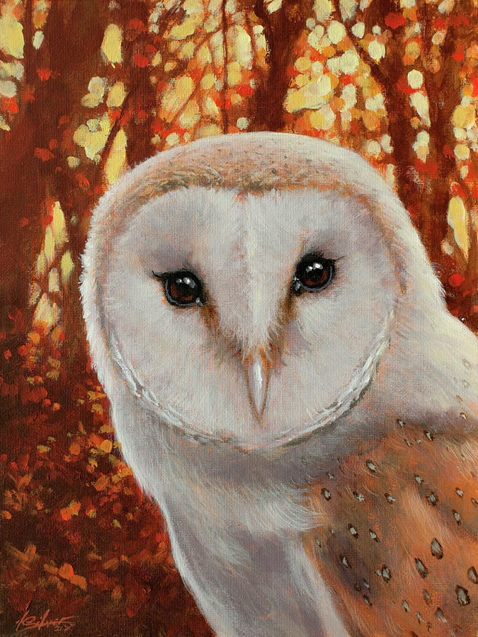 Barn Owl Portrait W724 Painting by John Silver