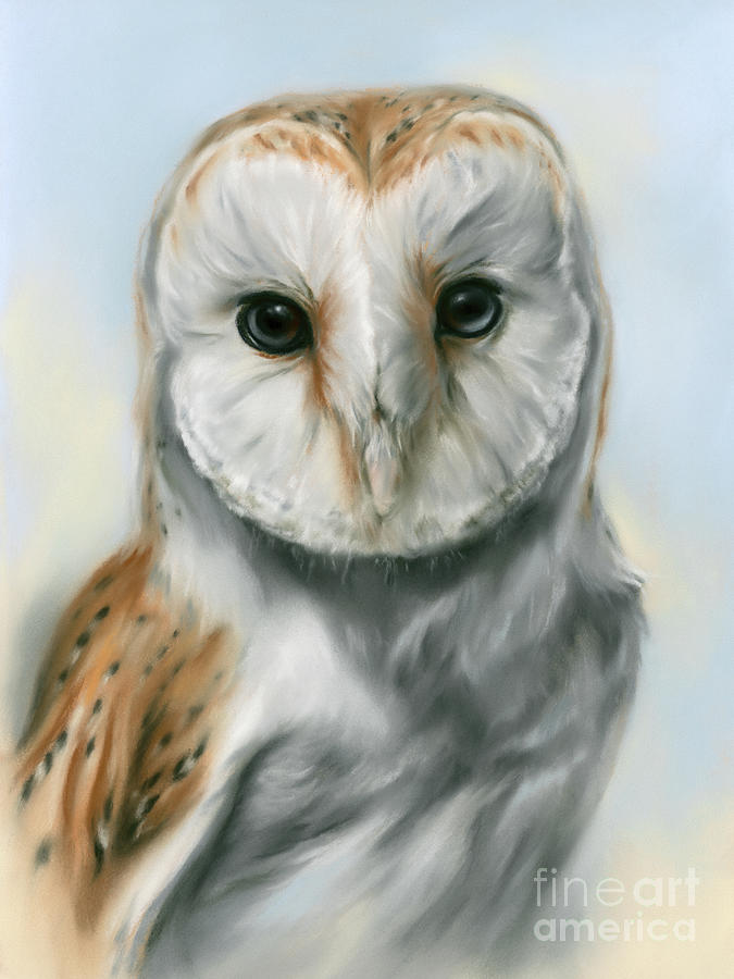 Owl Painting - Barn Owl Perceptive Gaze by MM Anderson
