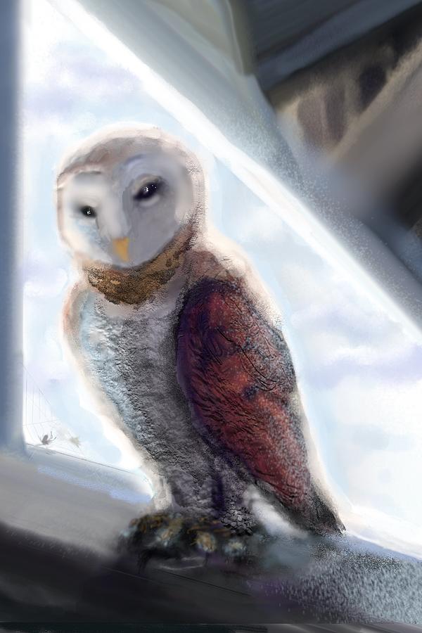 Barn Owl Digital Art by Robert Rearick