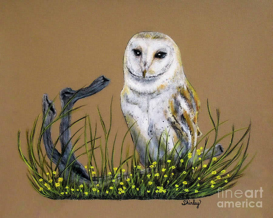 Barn Owl Painting by Shirley Dutchkowski