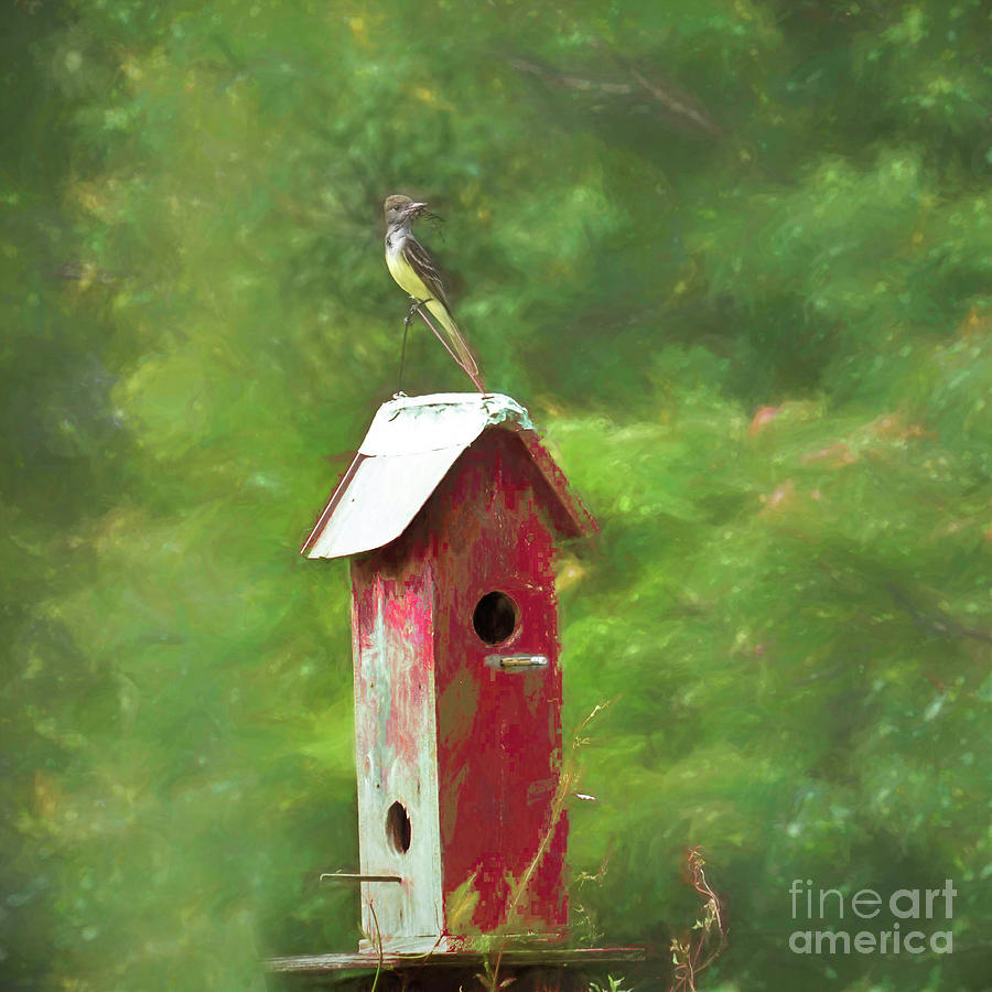 Barn Red Birdhouse Photograph by Karen Beasley