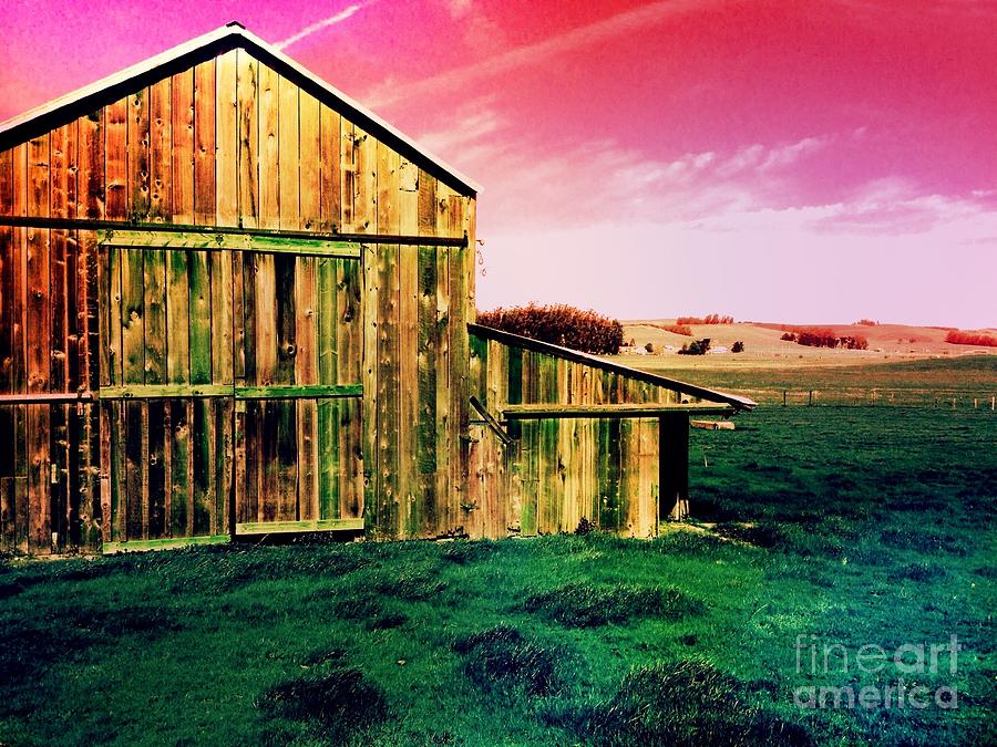 Barn revived Photograph by Manuelas Camera Obscura