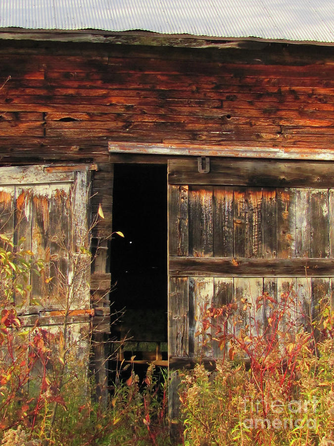 Fall Photograph - Barn Seasoned Textures by Ida K