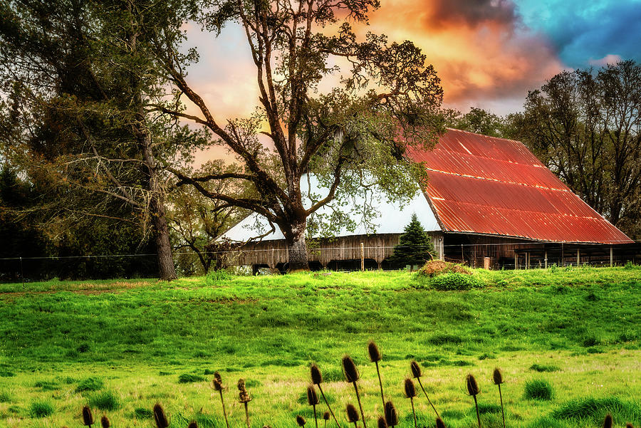 Barn Sheltered Photograph by Larry Buckley