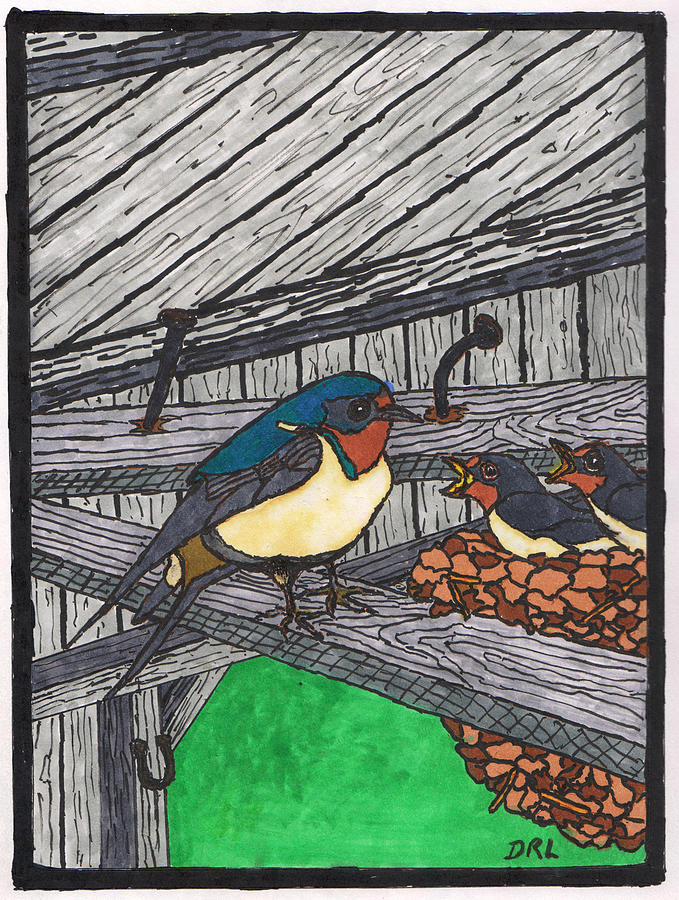 Barn Swallow Drawing by Danny Lowe