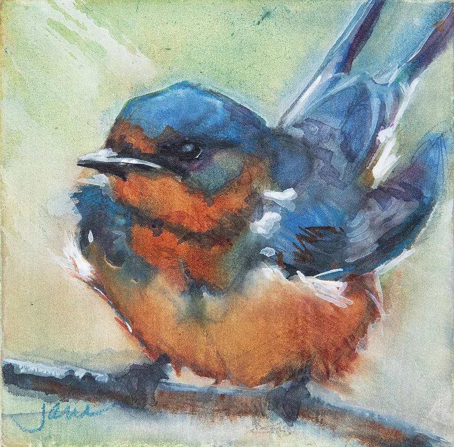 Barn Swallow Painting by Jani Freimann
