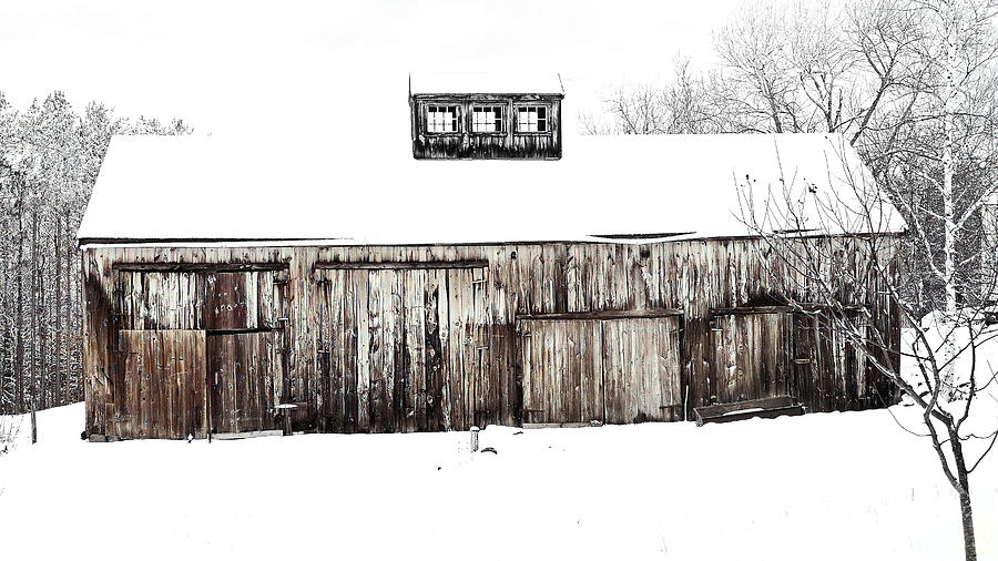 Barn Talk Photograph by Cynthia Morelli Photography - Fine Art America